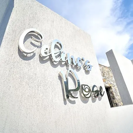 Celine'S Rose-2