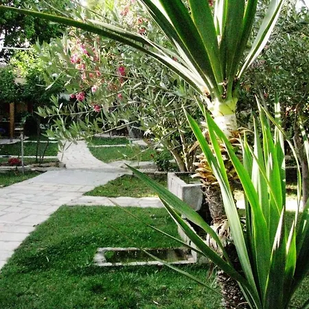 Lysistrata Bungalows-3