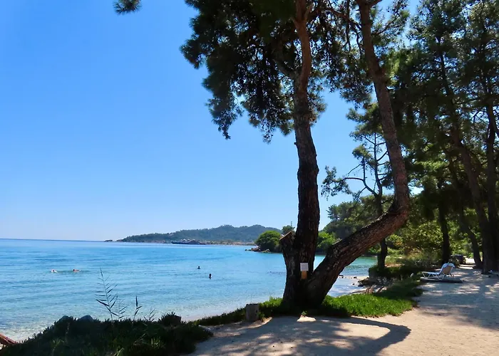 Aroma Beach Bungalows Glifada 