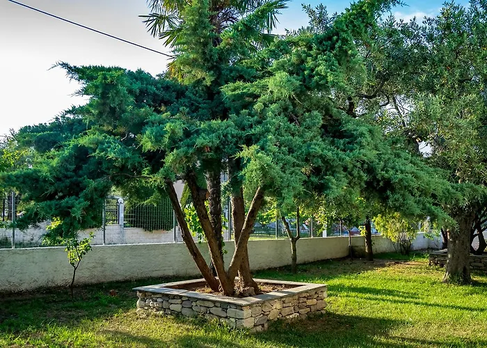 Villa Dafni Studios Thasos
